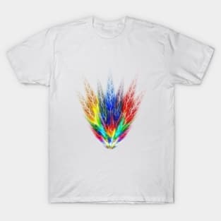 Rainbow T-Shirt